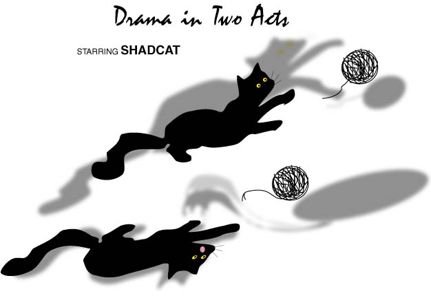 shadcat2 picture