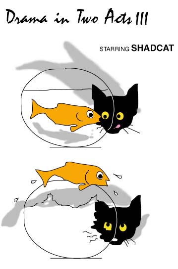 shadcat3 picture
