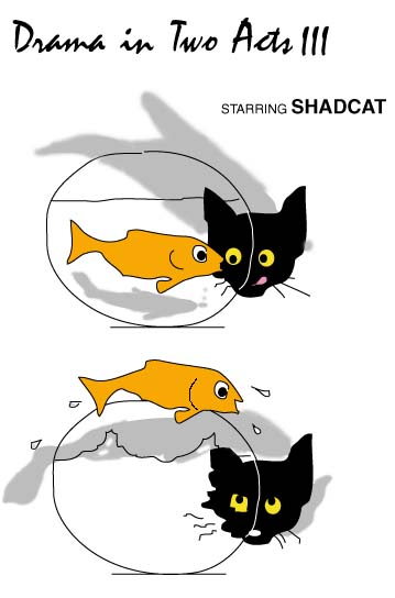 shadcat3 picture