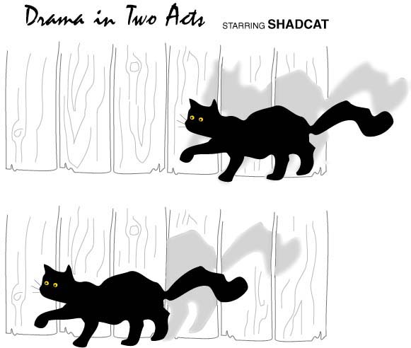 shadcat5 picture