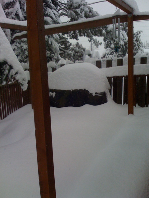 BBQ Drowning in Snow