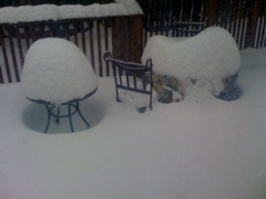 Back Deck (yes, the base of the chair is under the snow level)