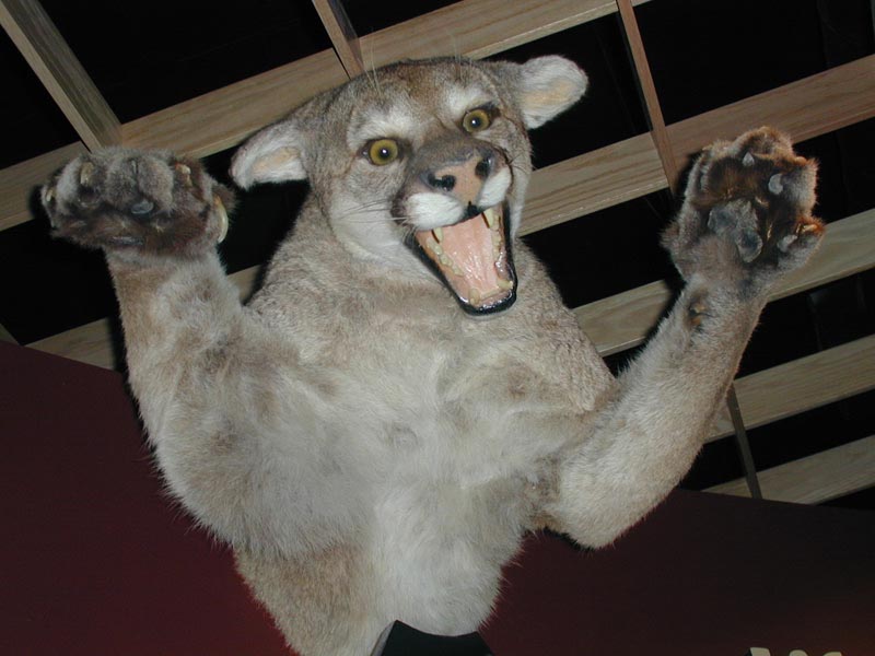 DSCN1943.JPG